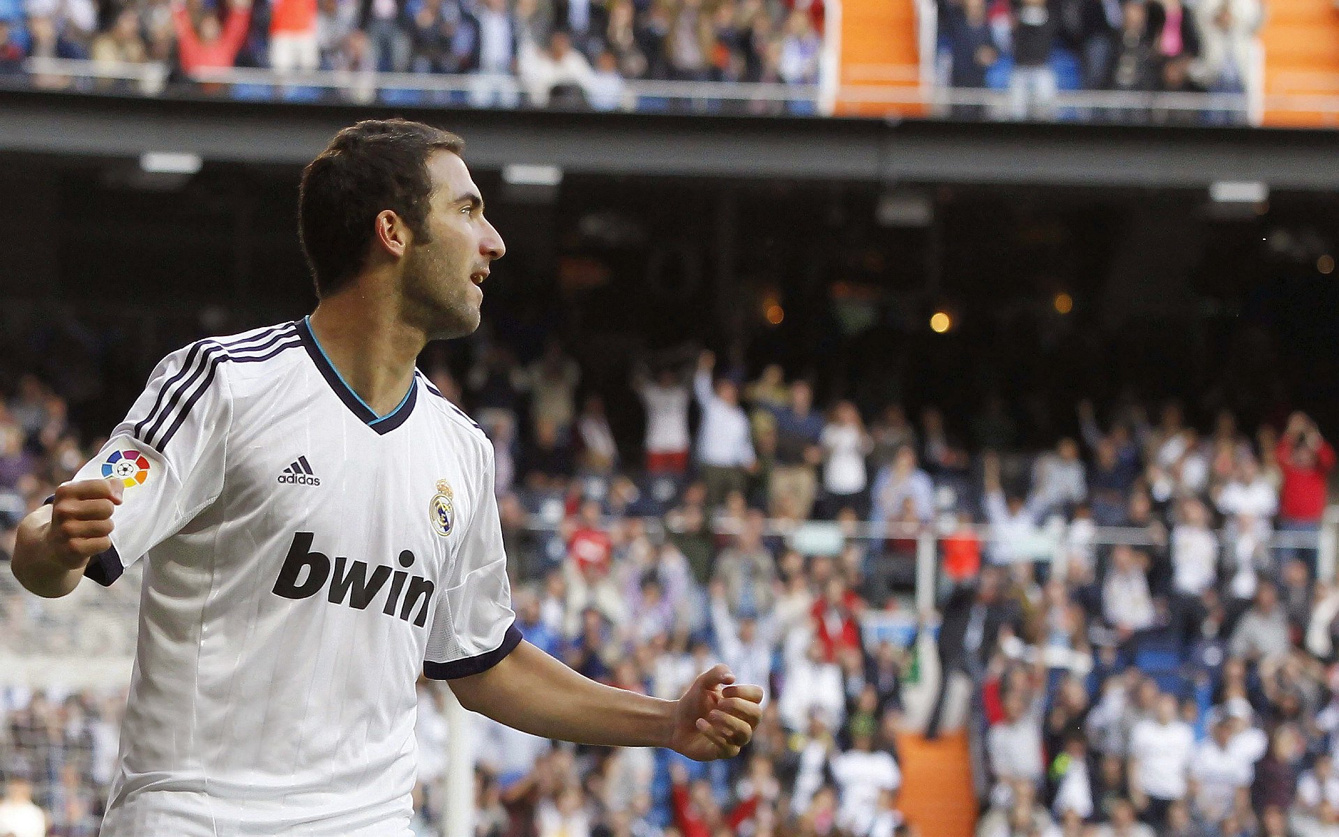 美洲杯球队的战略联盟合作，美洲杯的参赛队伍