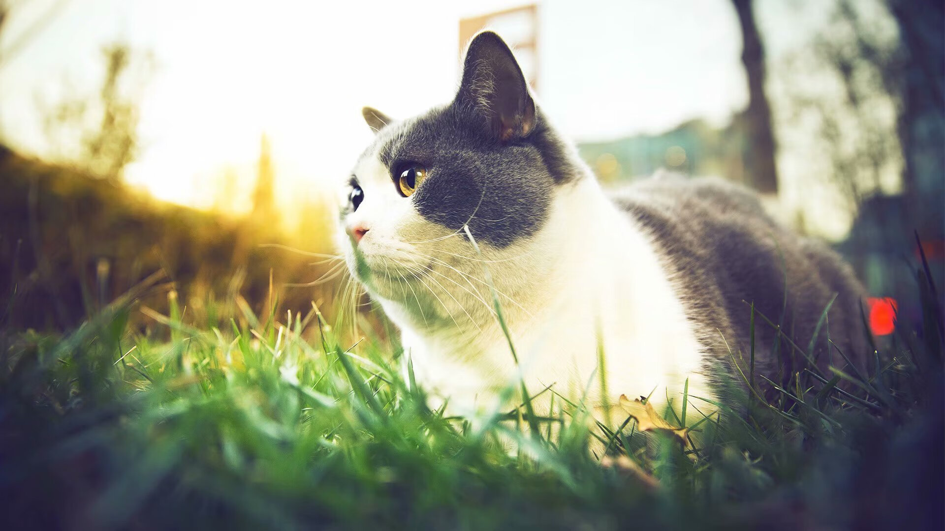 不眠之夜：火热季后赛战况实时追踪，不眠之夜详解