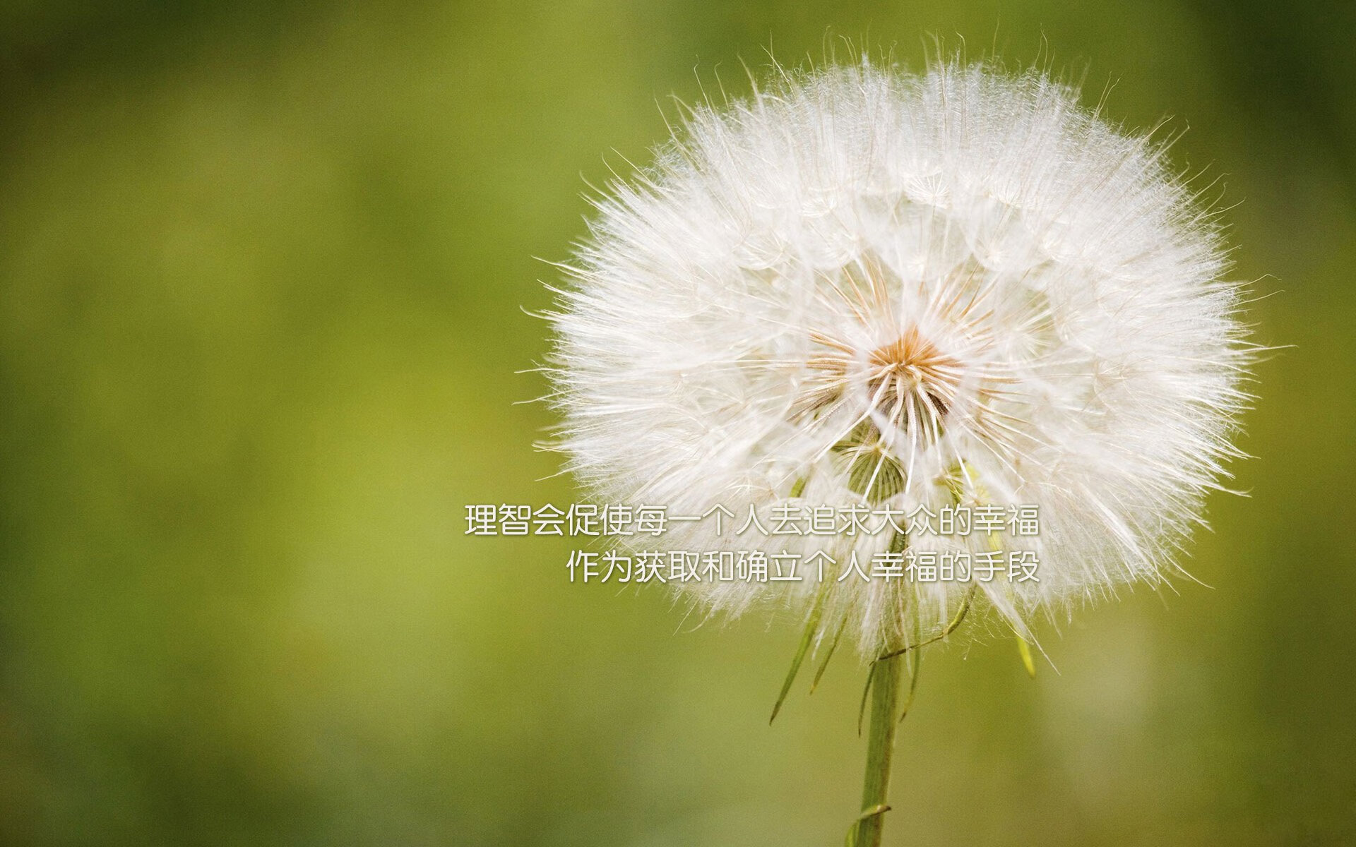 九游官网首页-全国足球场馆数字音视频系统全面升级，提升赛事氛围，足球场管理app